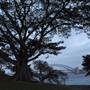 Mrs. Macquarie's Point - Royal Botanic Garden Sydney