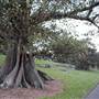 Mrs. Macquarie's Point - Royal Botanic Garden Sydney