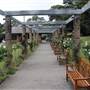 Rose Garden & Pavilion - Royal Botanic Garden Sydney