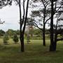 Centennial Park - Ash Paddock