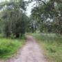 Centennial Park - Ash Paddock