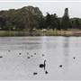 Centennial Park - Duck Pond