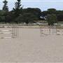 Centennial Park - Equestrian Grounds