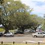 Centennial Park - Mount Steel