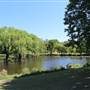 Centennial Park - Musgrave Pond