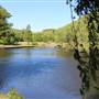 Centennial Park - Musgrave Pond