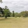 Centennial Park - Paperbark Grove