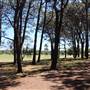 Centennial Park - Pine Grove