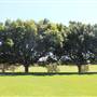 Centennial Park - Queens Park