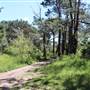 Centennial Park - Sandstone Ridge