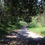 Centennial Park - Sandstone Ridge