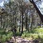 Centennial Park - Sandstone Ridge