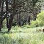 Centennial Park - Sandstone Ridge