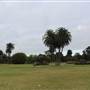 Centennial Park - Frog Hollow