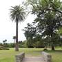 Centennial Park - Frog Hollow