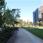 Central Park Sydney Precinct