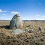 Monaro Plains