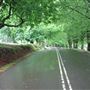 Mount Wilson Roads