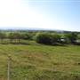 Hobartville