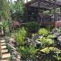 Charity Creek Green Acres