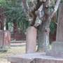 Newtown Cemetery