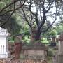 Newtown Cemetery