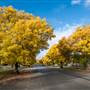 Crookwell