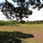 North Head Sanctuary - Old School Of Artillery