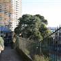 Agar Steps - Millers Point