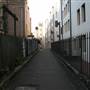 Cambridge Street - The Rocks