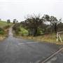Carcoar Tallwood Mill Rd