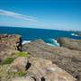 Bombo Headland Quarry