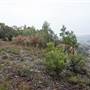 Goulburn Escarpment