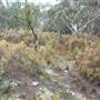 Goulburn Escarpment