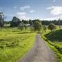 Southern Highlands