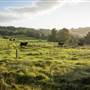 Southern Highlands