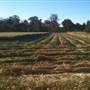 Rainevale Park/Mymms Farm
