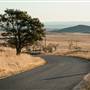 Monaro Plains