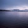 Monaro - Winter Frost