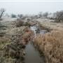 Monaro - Winter Frost