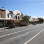 Temora