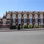 Temora