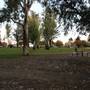 Wagga Wagga Town Centre