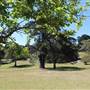 Centennial Park - Loch Ave South