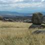 Monaro Plains