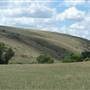 Monaro Plains