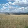 Monaro Plains