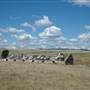 Monaro Plains