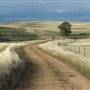 Monaro Plains