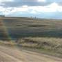 Monaro Plains